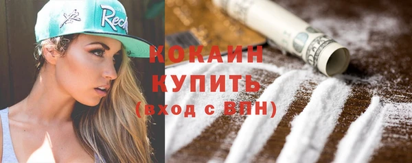 дмт Гусев