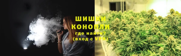 сатива Гусиноозёрск