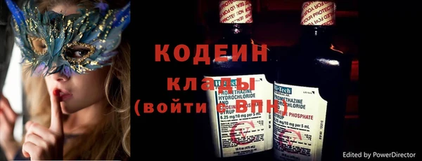 дмт Гусев