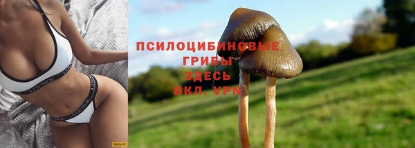 spice Горняк