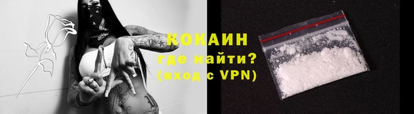 дмт Гусев