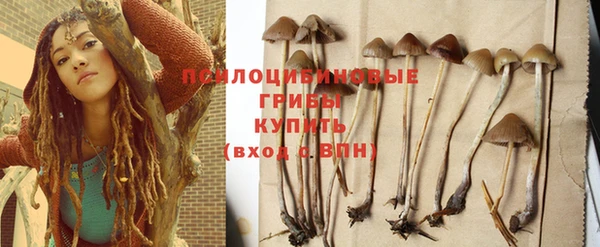 spice Горняк