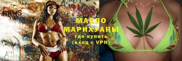 дмт Гусев