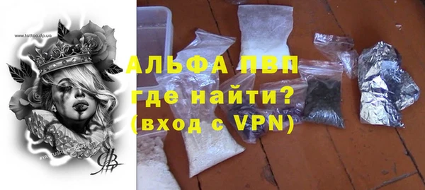 дмт Гусев
