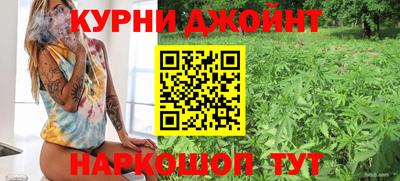 jwh Бийск