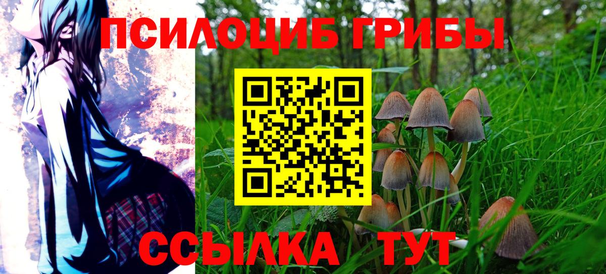 Галлюциногенные грибы ЛСД Дзержинский