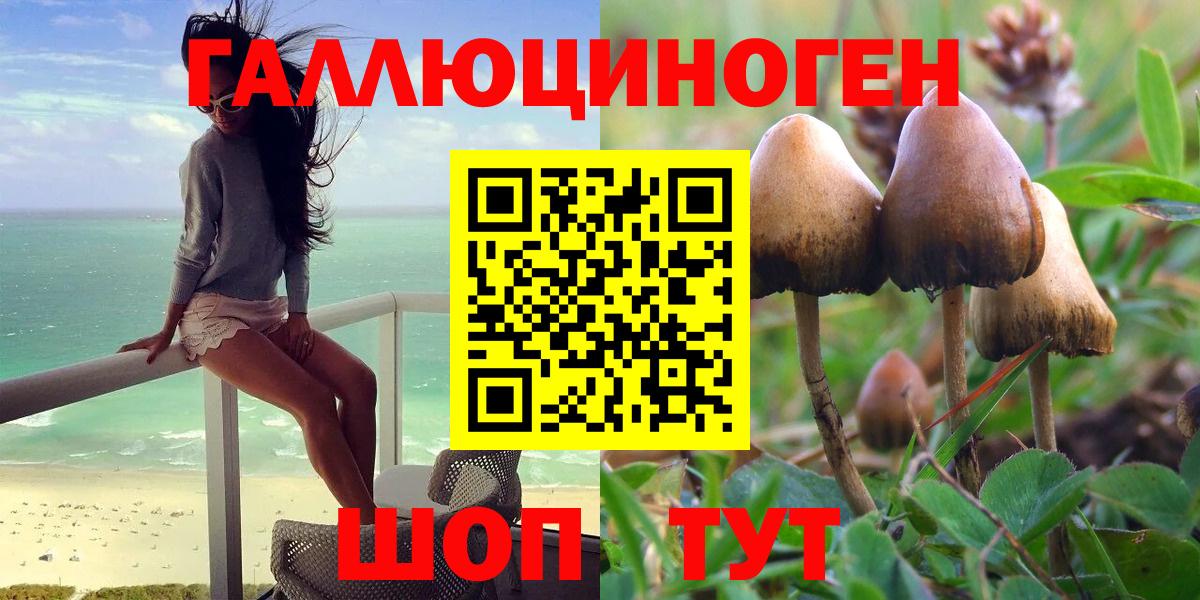 где можно купить наркотик  Галлюциногенные грибы MAGIC MUSHROOMS  Вход с VPN  Дзержинский 