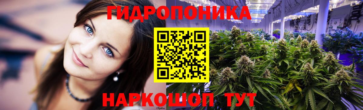Каннабис семена  Каннабис SATIVA & INDICA  Дзержинский  Вход с VPN 